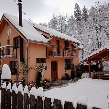 Casa Iulia & Matei Villa Cîrţişoara Екстериор снимка