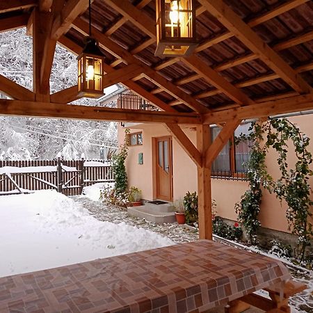 Casa Iulia & Matei Villa Cîrţişoara Екстериор снимка