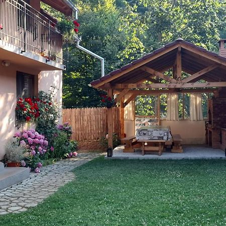 Casa Iulia & Matei Villa Cîrţişoara Екстериор снимка