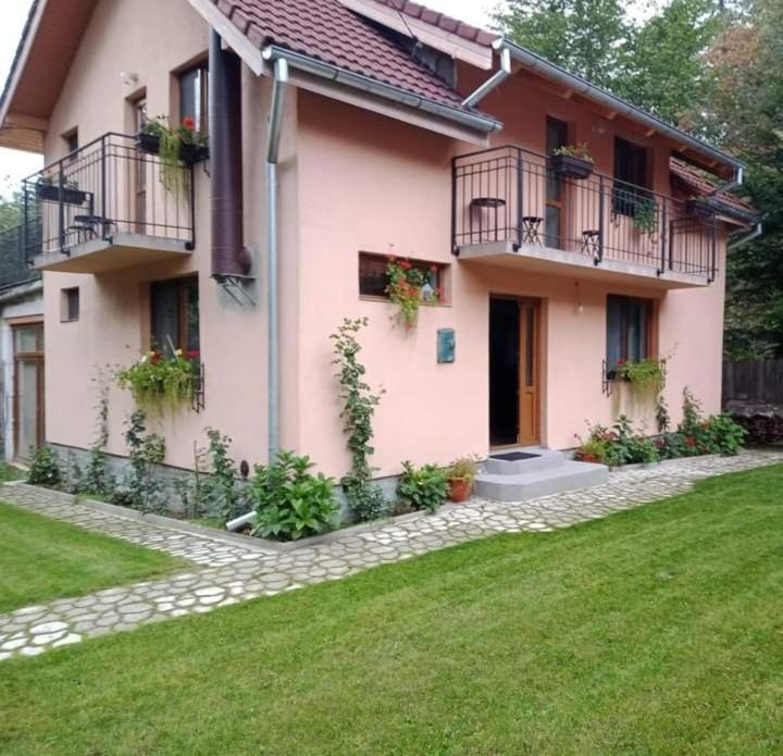 Casa Iulia & Matei Villa Cîrţişoara Екстериор снимка