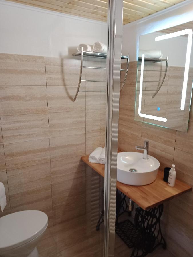 Casa Iulia & Matei Villa Cîrţişoara Екстериор снимка
