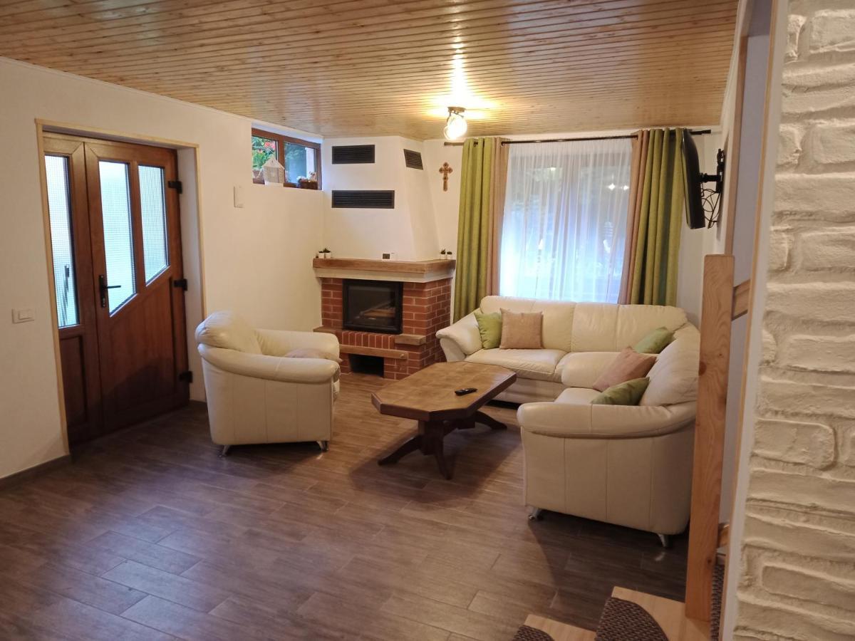Casa Iulia & Matei Villa Cîrţişoara Екстериор снимка