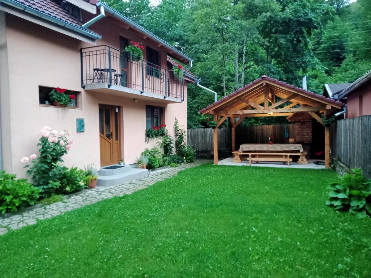 Casa Iulia & Matei Villa Cîrţişoara Екстериор снимка