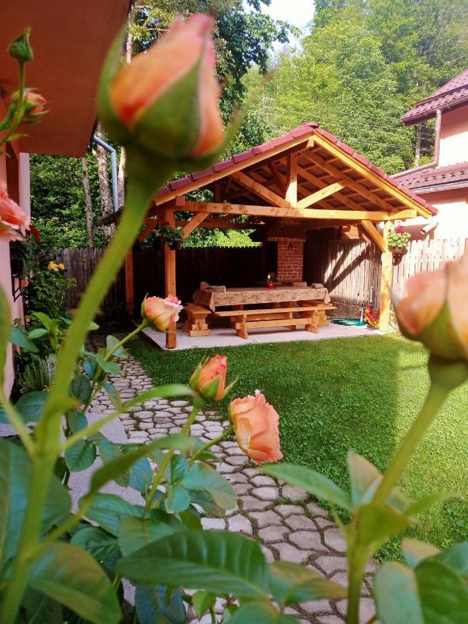 Casa Iulia & Matei Villa Cîrţişoara Екстериор снимка
