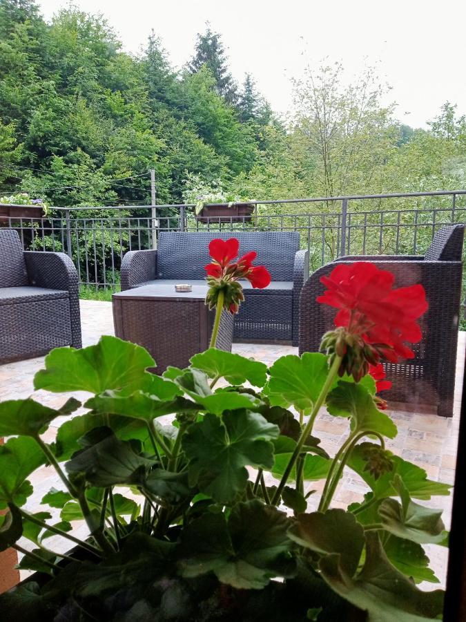 Casa Iulia & Matei Villa Cîrţişoara Екстериор снимка