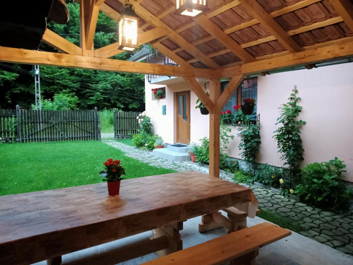 Casa Iulia & Matei Villa Cîrţişoara Екстериор снимка