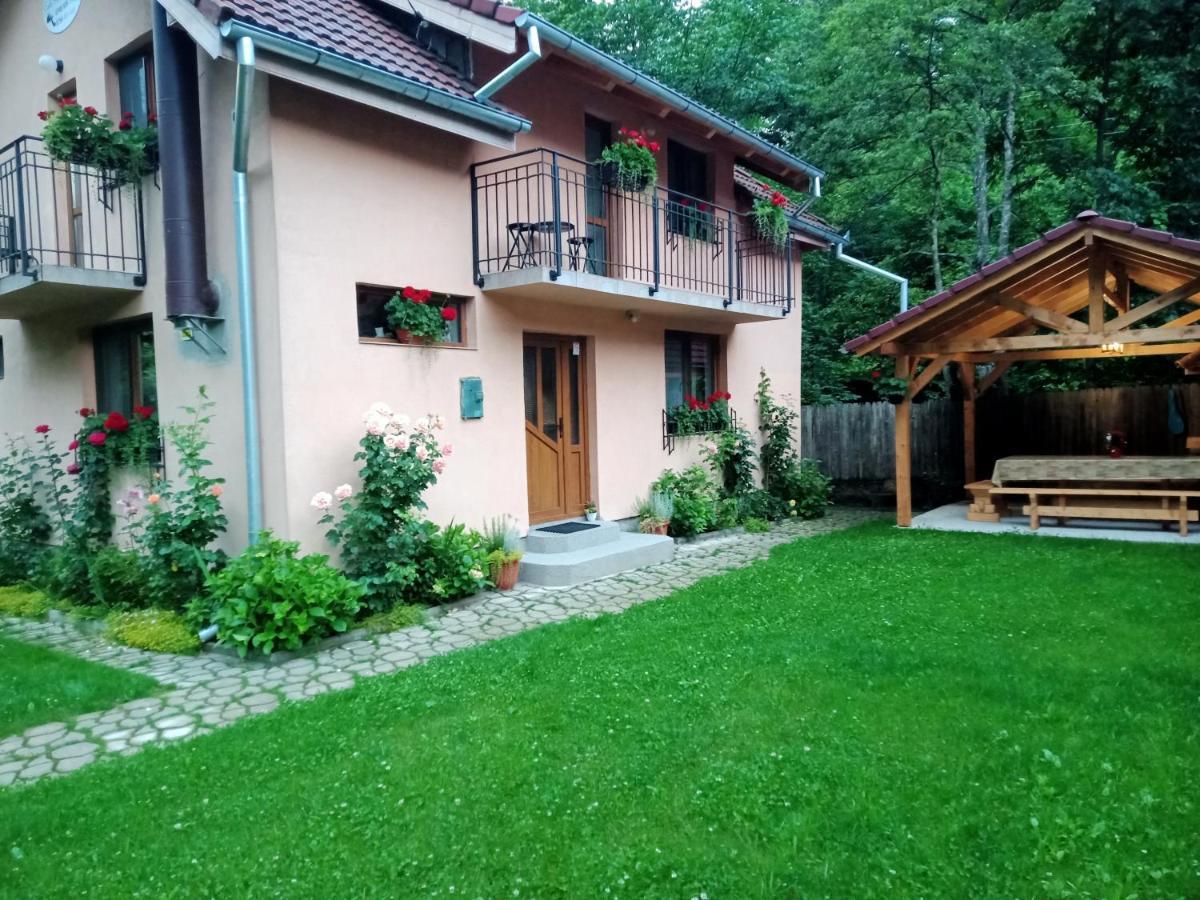 Casa Iulia & Matei Villa Cîrţişoara Екстериор снимка
