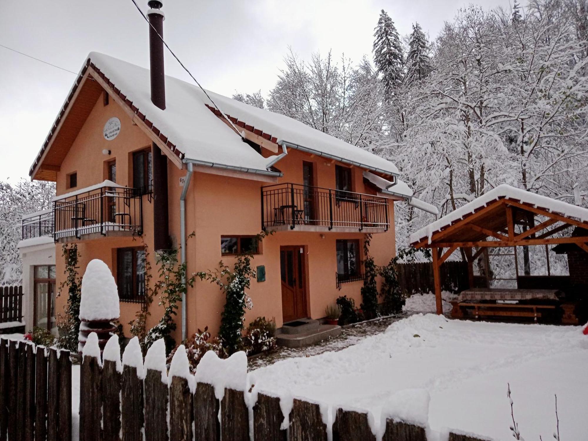 Casa Iulia & Matei Villa Cîrţişoara Екстериор снимка