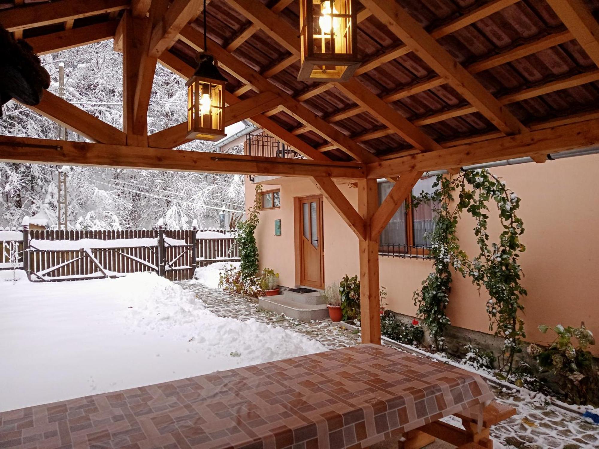 Casa Iulia & Matei Villa Cîrţişoara Екстериор снимка