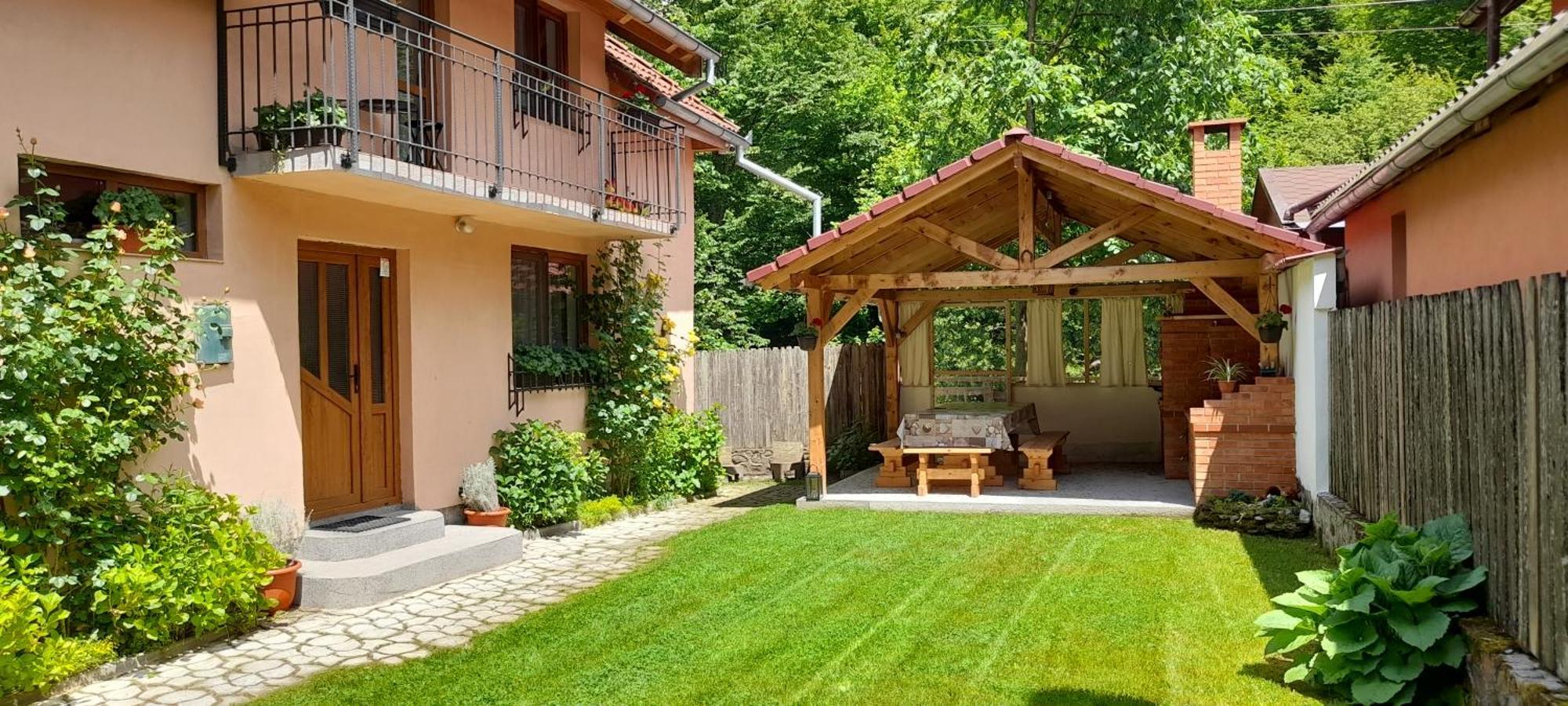 Casa Iulia & Matei Villa Cîrţişoara Екстериор снимка
