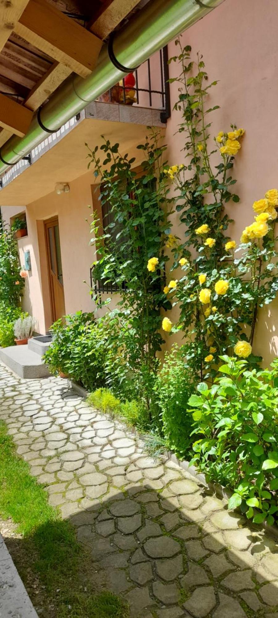 Casa Iulia & Matei Villa Cîrţişoara Екстериор снимка
