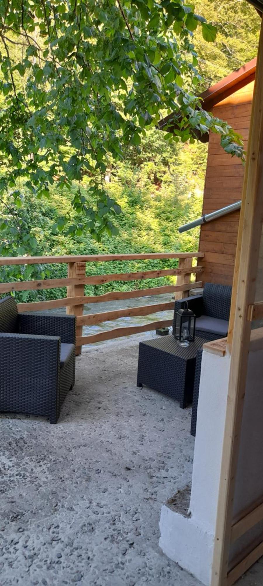 Casa Iulia & Matei Villa Cîrţişoara Екстериор снимка