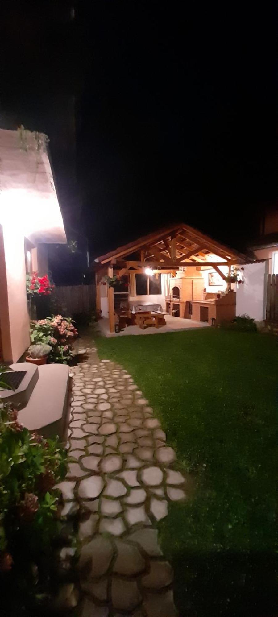 Casa Iulia & Matei Villa Cîrţişoara Екстериор снимка