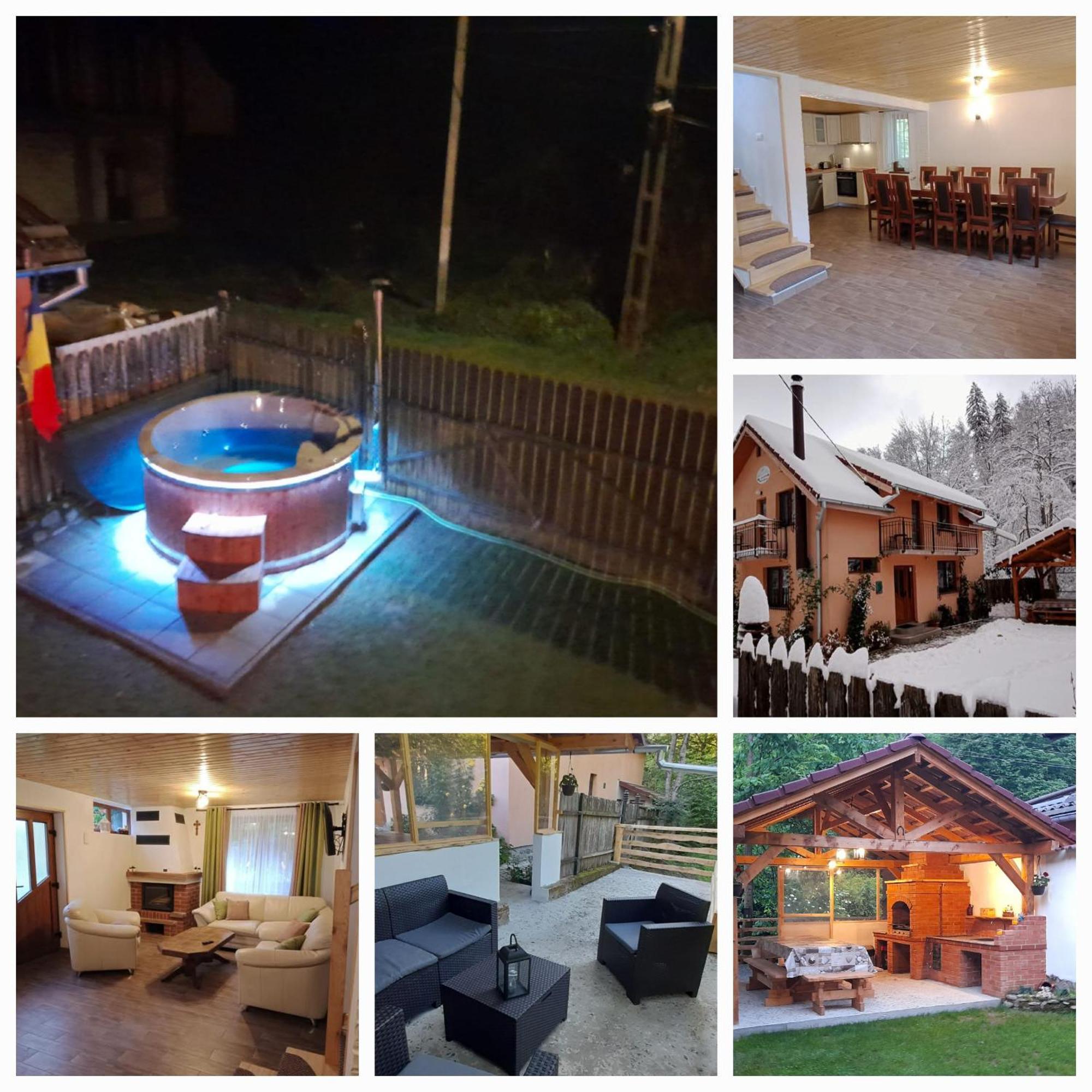 Casa Iulia & Matei Villa Cîrţişoara Екстериор снимка